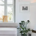 Villa Skopelos Villa Rentals