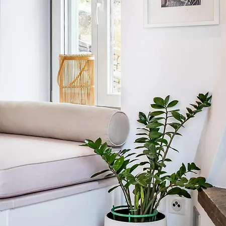 Skopelos Villa Rentals Skopelos Town