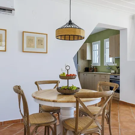 别墅 Skopelos Villa Rentals *